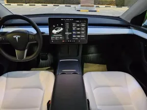 2024 Tesla Model Y Performance