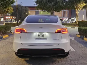 2024 Tesla Model Y Performance