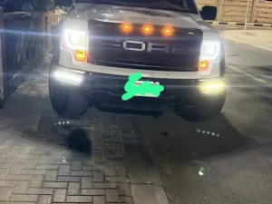 2010 Ford F150 Platinum