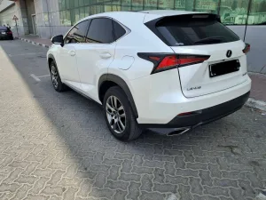 2019 Lexus NX NX350