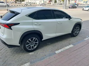 2019 Lexus NX NX350