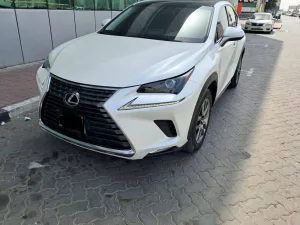 2019 Lexus NX NX350