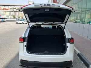 2019 Lexus NX NX350