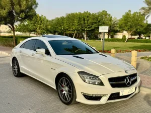 2013 مرسيدس-بنز سي ال اس CLS500