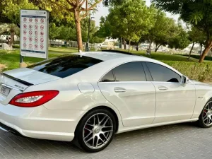 2013 مرسيدس-بنز سي ال اس CLS500