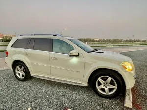 2008 Mercedes-Benz GL GL500