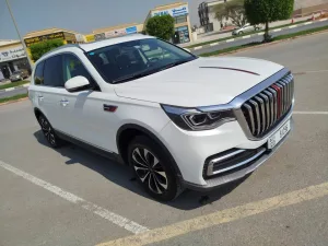 2019 Hongqi HS7 No Trim