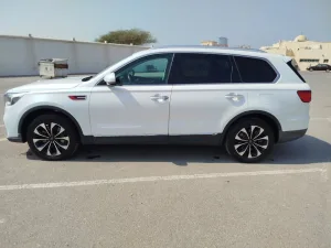 2019 Hongqi HS7 No Trim