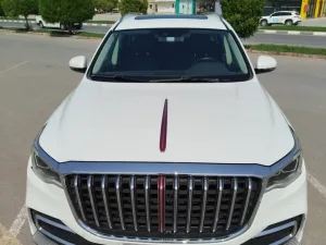 2019 Hongqi HS7 No Trim