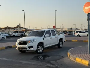 2018 جريت وول وينجل ٥ No Trim