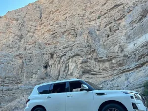 2012 نيسان باترول LE