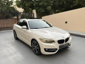 2014 BMW 2-Series 220i