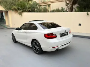 2014 BMW 2-Series 220i