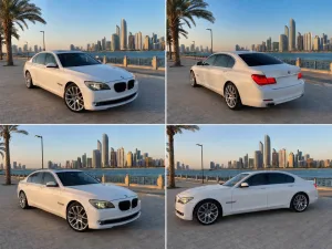 2011 BMW 7-Series 750Li