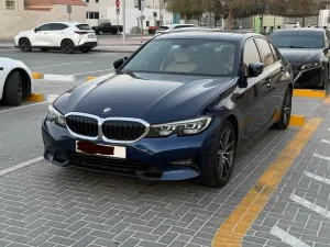2019 بي أم دابليو الفئة - 3 330i