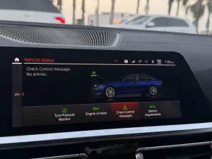 2019 بي أم دابليو الفئة - 3 330i