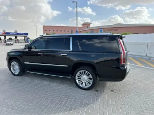 2020 Cadillac Escalade Premium Luxury Platinum