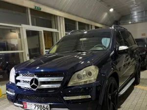 2010 Mercedes-Benz GL GL450