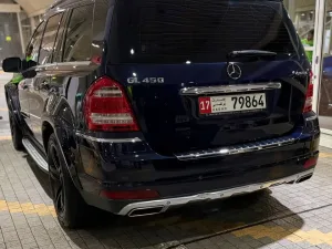2010 Mercedes-Benz GL GL450