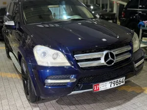 2010 Mercedes-Benz GL GL450