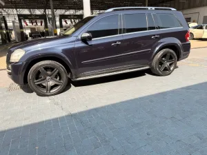 2010 Mercedes-Benz GL GL450