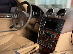 2010 Mercedes-Benz GL GL450