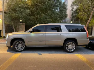 2017 Cadillac Escalade Platinum