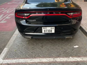 2020 Dodge Charger R/T