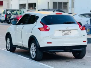 2014 Nissan Juke S