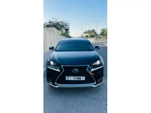 2019 لكزس NX - ان اكس NX300