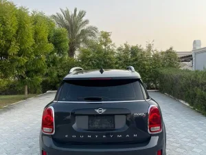 2019 Mini Countryman