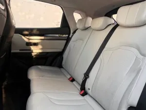 2024 Jetour Dashing No Trim
