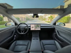 2024 Tesla Model S P90D