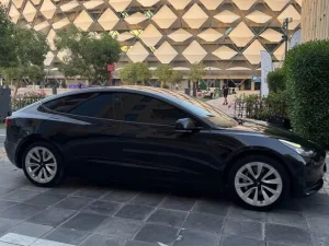 2023 Tesla MODEL 3 No Trim