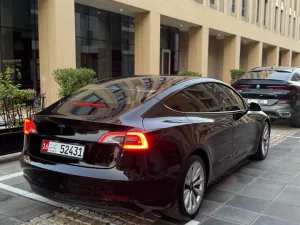 2023 Tesla MODEL 3 No Trim