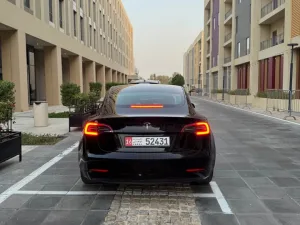 2023 Tesla MODEL 3 No Trim
