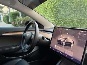 2023 Tesla MODEL 3 No Trim