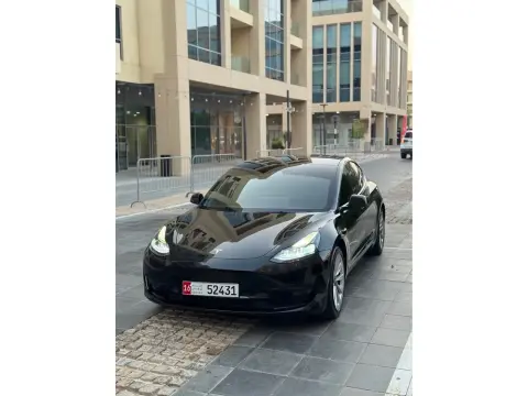 2023 Tesla MODEL 3 No Trim
