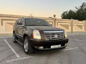 2010 Cadillac Escalade Luxury