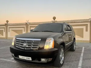 2010 Cadillac Escalade Luxury