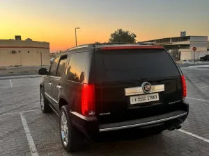 2010 Cadillac Escalade Luxury