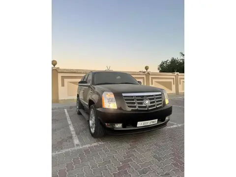 2010 Cadillac Escalade Luxury