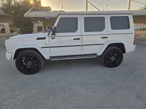 2023 Baic BJ80