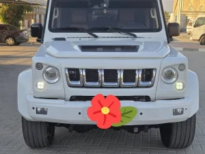 2023 Baic BJ80