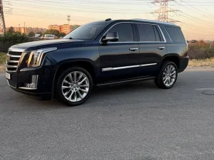 2018 Cadillac Escalade Premium Luxury Platinum