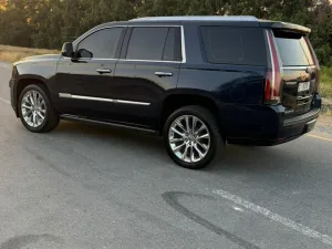 2018 Cadillac Escalade Premium Luxury Platinum