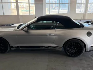 2016 Ford Mustang Shelby GT350