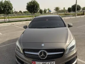 2014 Mercedes-Benz A-Class A250