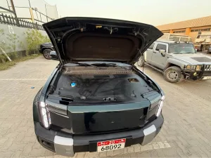 2024 Chery icar
