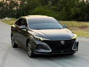2023 تشانجن ايدو No Trim